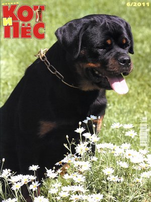 cover image of Кот и Пёс №6/2011